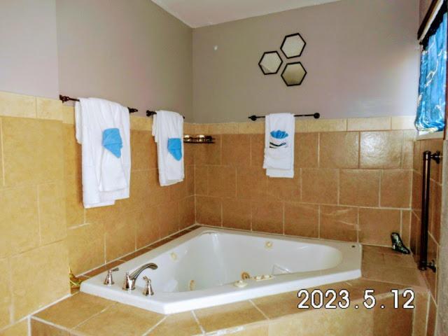 فيلا سانت لويسفي Urban Oasis المظهر الخارجي الصورة